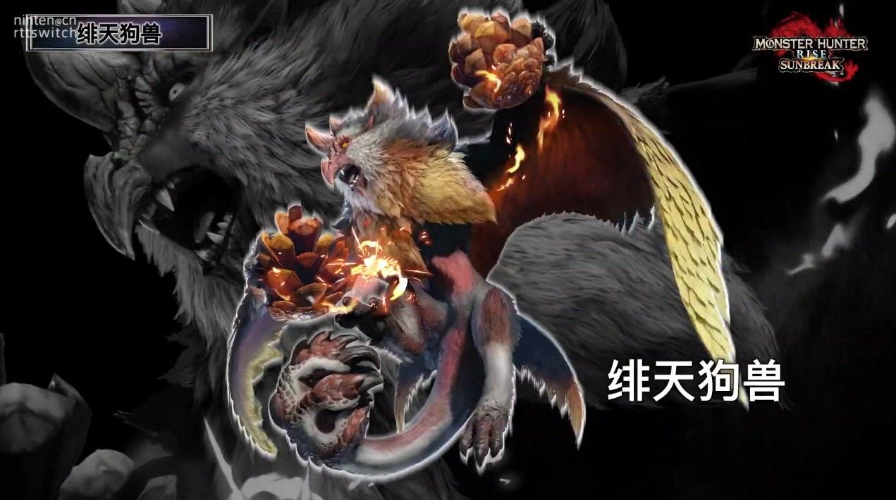 真电龙回归！《怪物猎人崛起曙光》6月30日发售