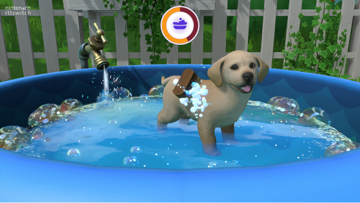 模拟宠物养成游戏《小小伙伴狗狗小岛》中文版发售